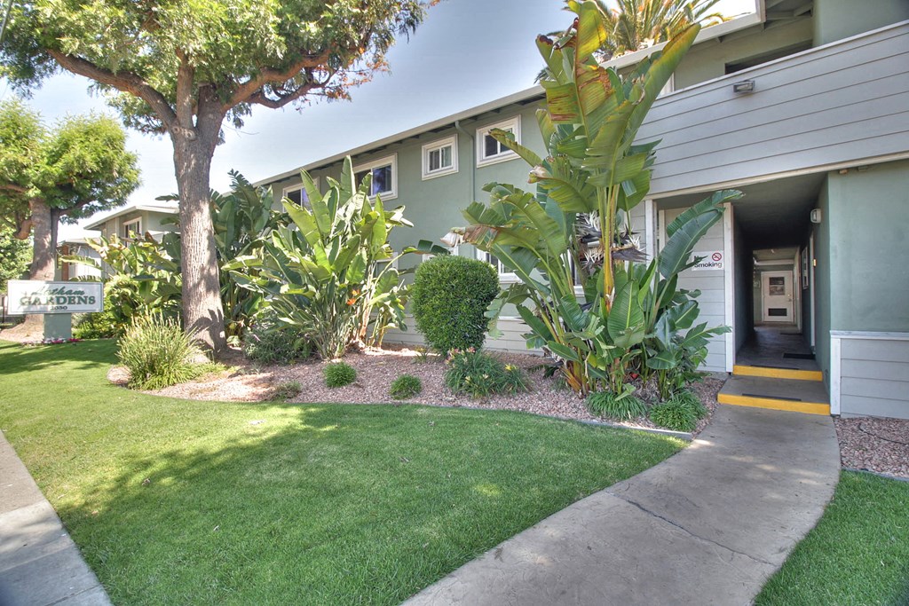 A green tree is in front of a building.