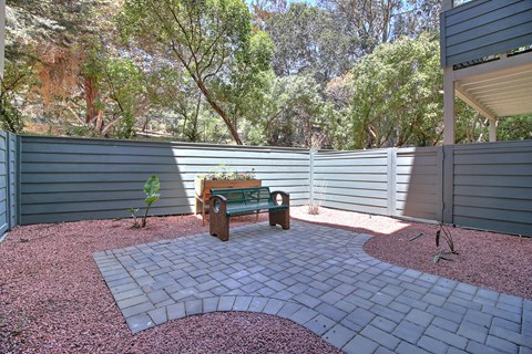 A backyard with a bench and a small tree.