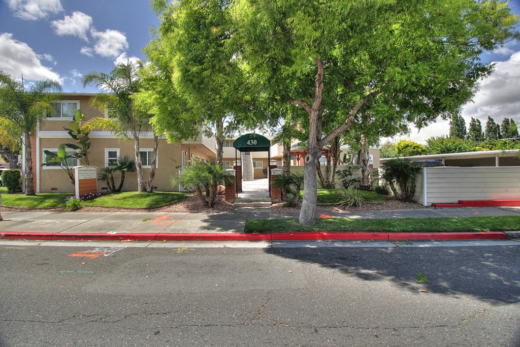 a street view of a house with a tree in front of it