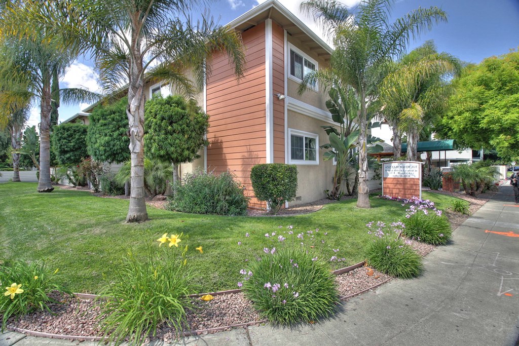a house with palm trees and a sidewalk in front of it