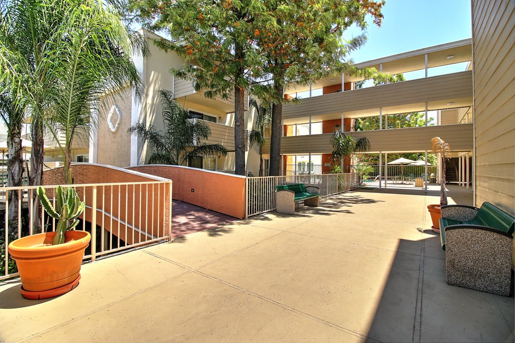 A courtyard with a fence, a tree, and a potted plant.