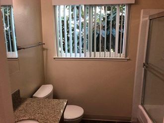 a bathroom with a window and a toilet and a shower