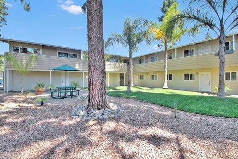A tree in a courtyard surrounded by buildings.