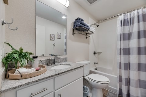 A bathroom with a white toilet, sink, and shower curtain.