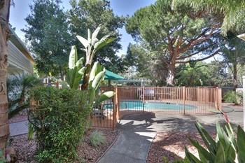 550 Tyndall Street 2 Beds Apartment for Rent - Photo Gallery 4