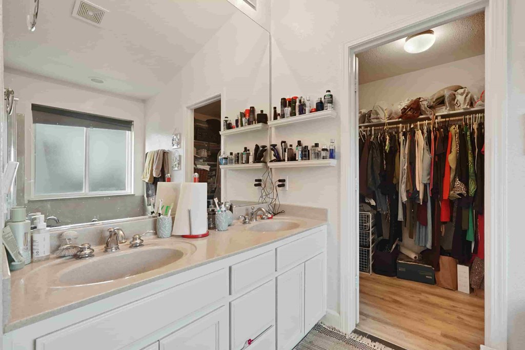 A bathroom with a white vanity and a walk-in closet.