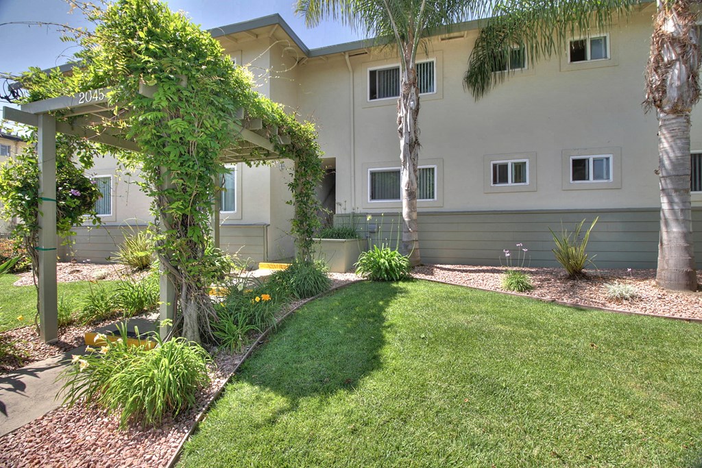 the front yard of the building with a lawn and palm trees