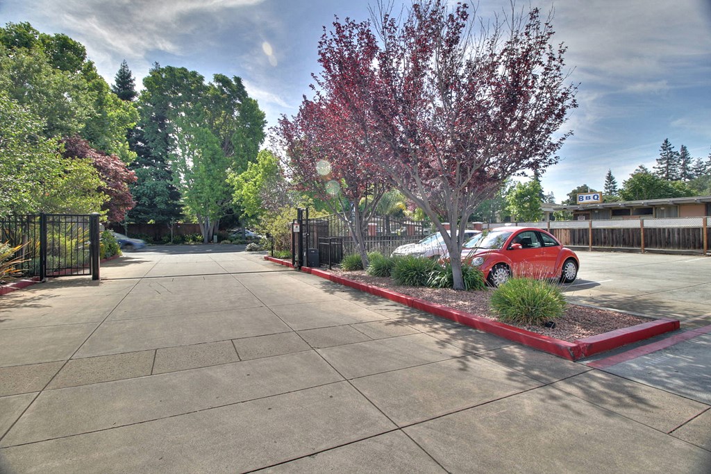 a red car parked in a parking lot next to a tree