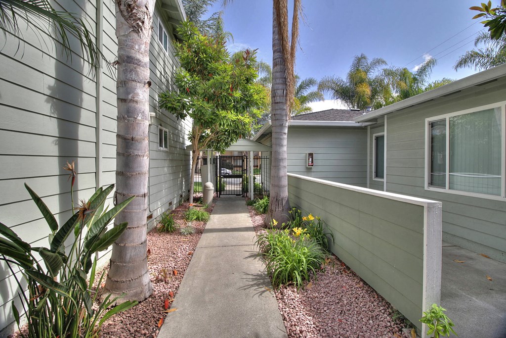 a walkway between two buildings with palm trees