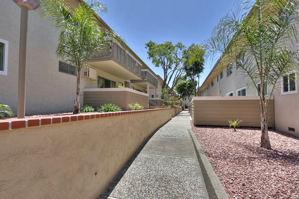 A long, narrow alleyway between two buildings with trees on either side.