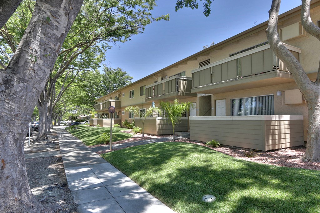 A row of houses with trees in front.