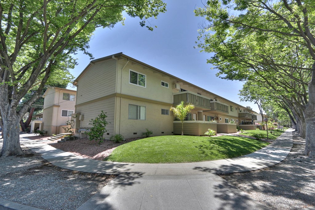 A sunny day in a quiet residential street with houses on both sides.