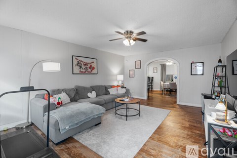 A living room with a grey couch and a white rug.