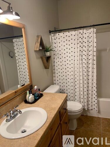 A bathroom with a sink, mirror, and shower curtain.