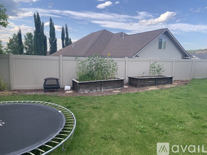 A backyard with a trampoline and a fence.