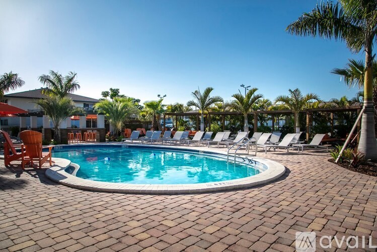A pool surrounded by palm trees and lounge chairs.