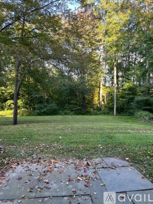 A grassy area with fallen leaves and trees in the background.