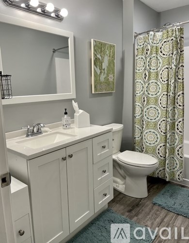 A bathroom with a sink, toilet, and shower curtain.