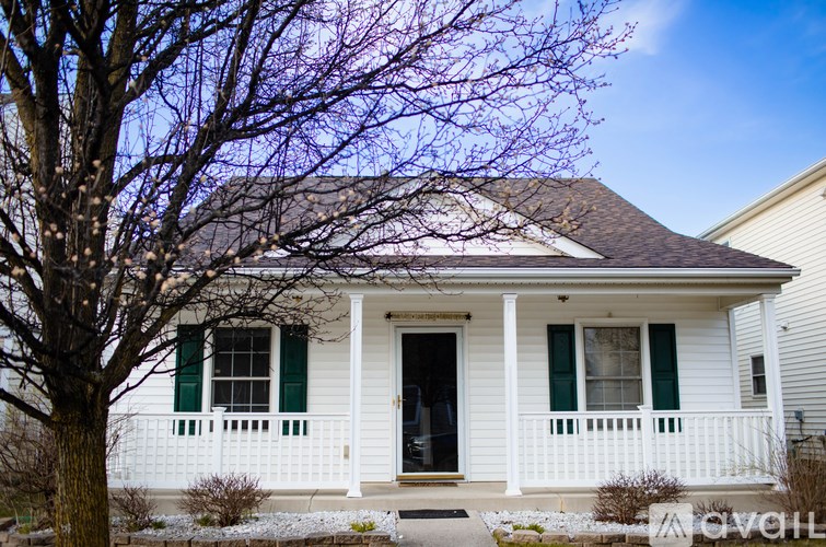 A white house with a black door and green shutters.