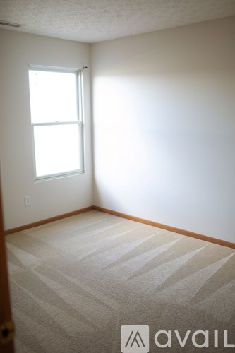 A room with a carpeted floor and a window letting in sunlight.