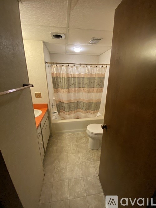 A bathroom with a toilet, sink, and shower curtain.