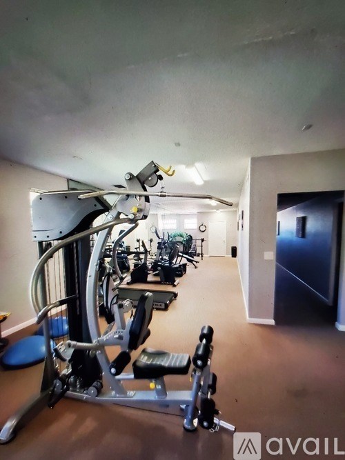 A gym with a variety of equipment including a treadmill, a stationary bike, and a rowing machine.