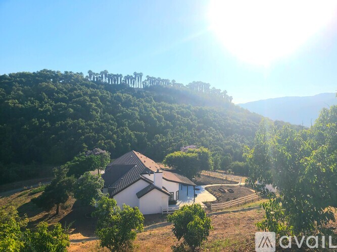 A house is situated on a hill with trees and a clear sky above.
