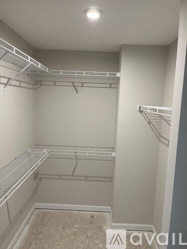Empty walk-in closet with shelves and a carpeted floor.