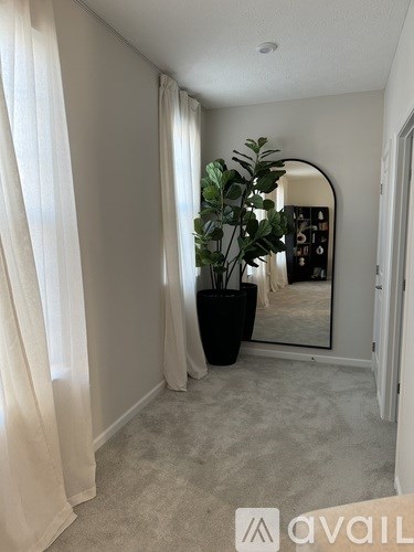 A room with a large mirror and a plant in a black pot.
