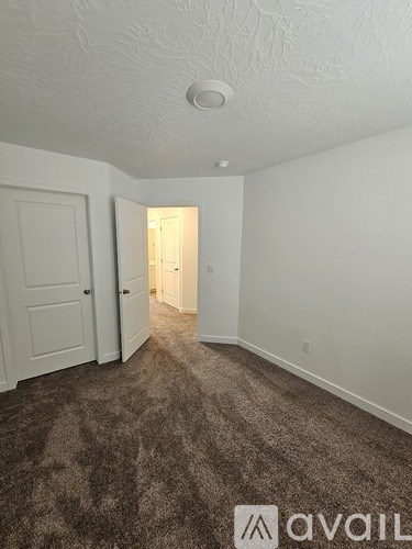 A carpeted hallway with a door on the left and a light on the ceiling.