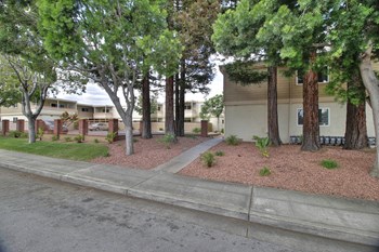 Exterior Walking Paths Exterior Walking Paths at Magnolia Place, California - Photo Gallery 3