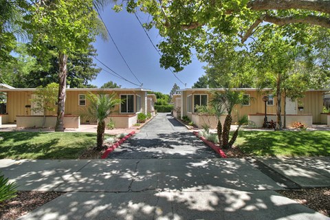 A row of buildings with trees in front.