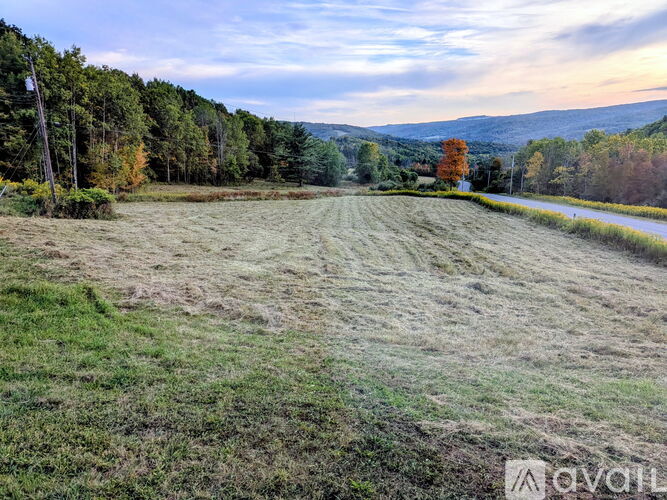 A field with a road and trees in the background.
