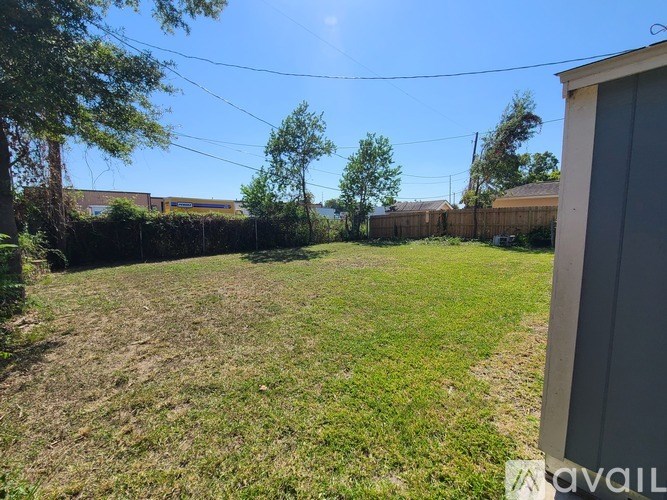 A backyard with a fence and trees.