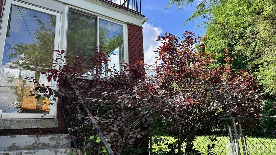 A red tree is in front of a window.