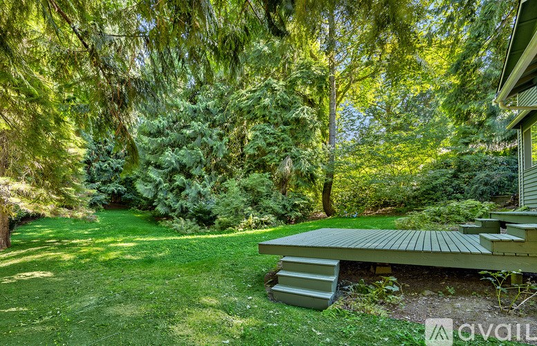 A backyard with a deck and trees.