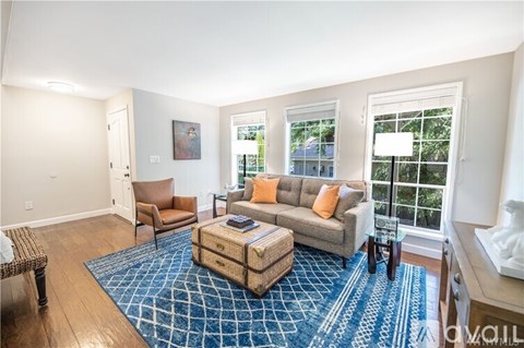 A living room with a blue rug and a brown couch.