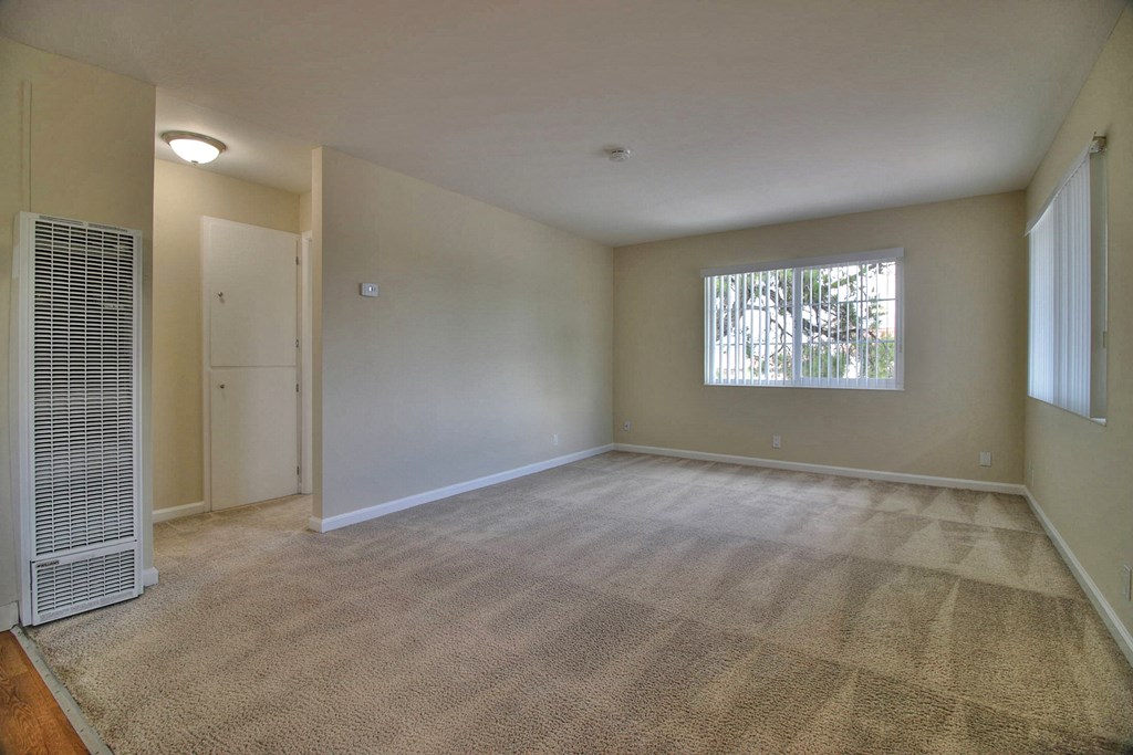 A room with a carpeted floor and a window with blinds.