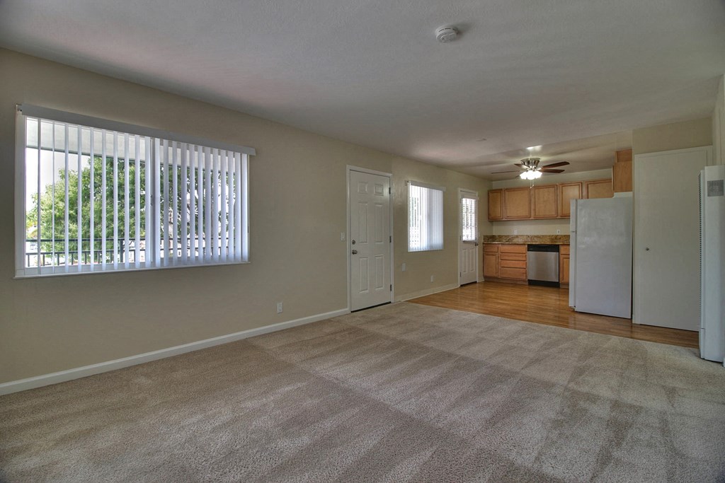 A large empty room with a carpeted floor and a window with blinds.