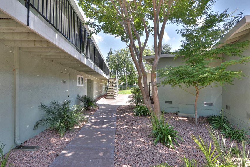 a walkway between two buildings with trees and plants