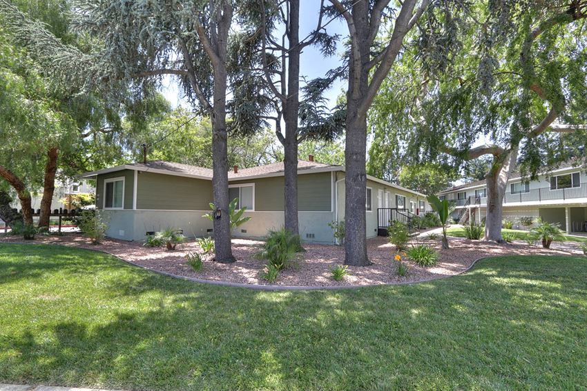 the front of the house with trees and grass