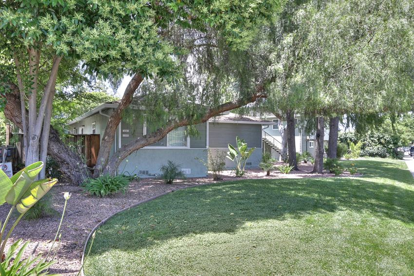 a house with trees and grass in front of it