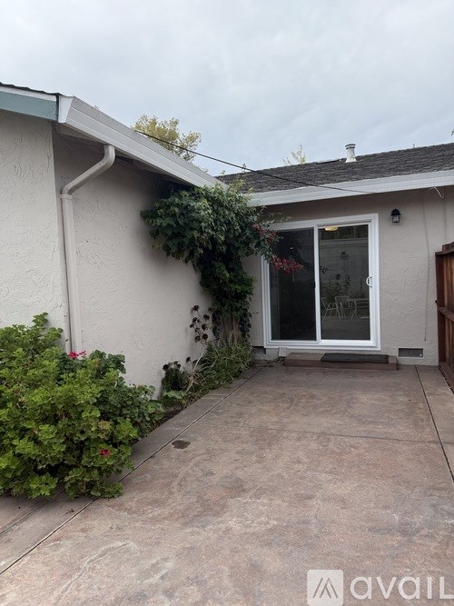 A patio area of a house with a door and plants.