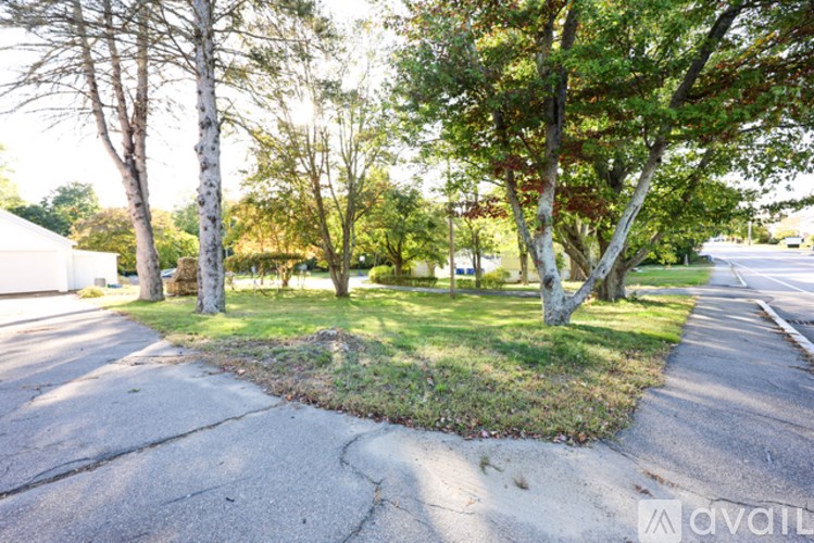 A tree-lined street with a sidewalk and a grassy area.