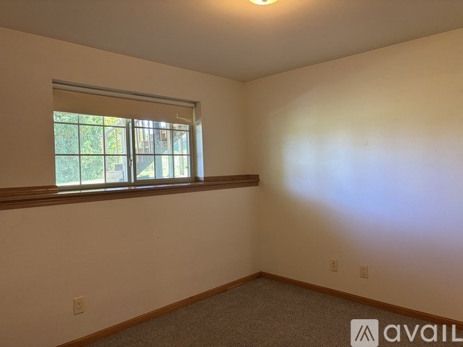 A room with a window and a carpeted floor.