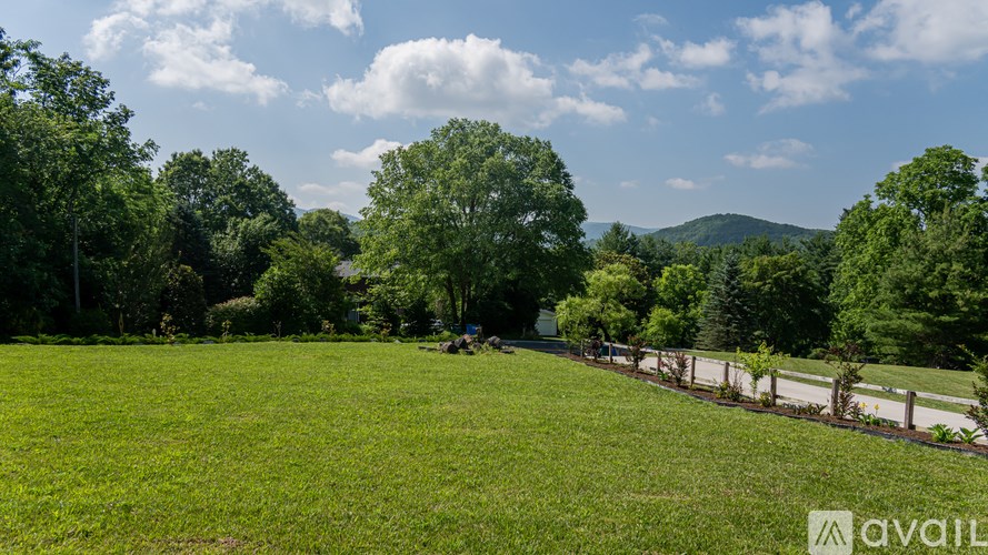 A grassy field with trees and a mountain in the distance.