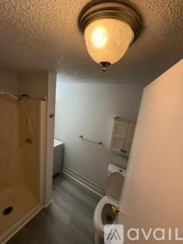 A bathroom with a toilet, sink, and shower.