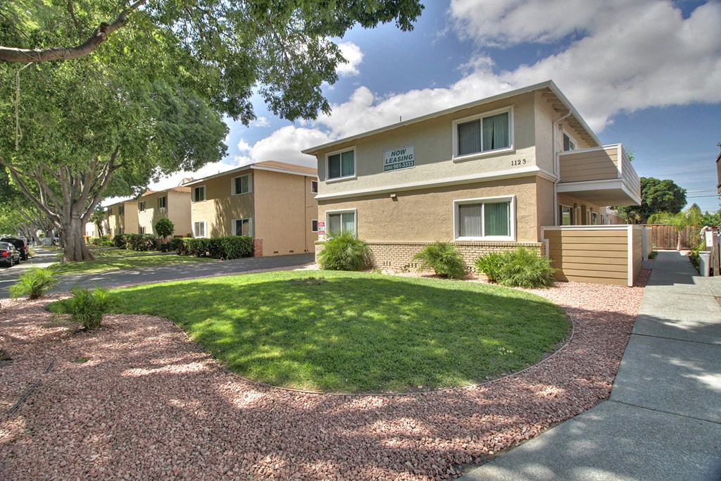 our apartments have a spacious yard with green grass and trees