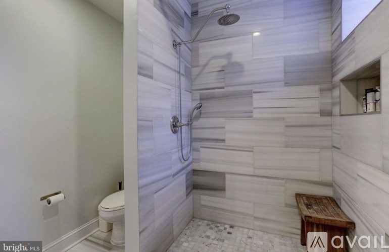 A bathroom with a walk-in shower and a toilet.