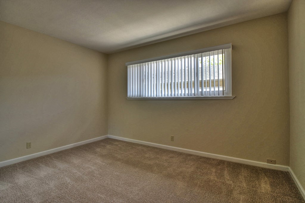 an empty living room with a window and carpet